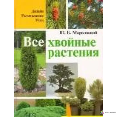 🍀ХВОЙНИКИ в саду🍀 ⠀ Я очень люблю хвойные растения за их декоративные  качества круглый год и минимальные требования к уходу. Поэтому я…… |  Растения, Сад, Ландшафт