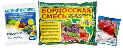 МаксЭффект порошок для орального раствора со вкусом вишни и шиповника в  саше 20 шт (8052877171781) PromoPharma (Сан Марино) - Купить MAXEFFECT по  низкой цене в Украине - МИС Аптека 9-1-1