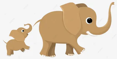 Крупным Планом Хвост Слона — стоковые фотографии и другие картинки  Африканский слон - Африканский слон, Без людей, Выше пояса - iStock