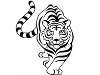 Тигрца шагает задрав хвост » Белые тигры » Кошачья галерея » Magnus Felidae  (Великие Кошачьи) - красота и превосходство!