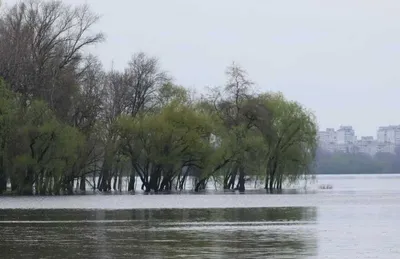 Вид Моста Патона И Левом Берегу Реки Днепр В Киеве, Украина Фотография,  картинки, изображения и сток-фотография без роялти. Image 29702433