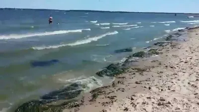 Киевское море с высоты птичьего полета: как выглядит водохранилище весной