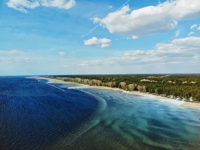 Три человека утонули на Киевском море 20 июня