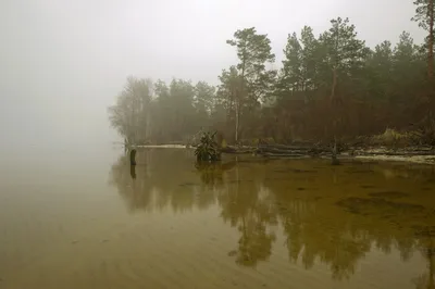 Киевское море | KYIVSEA - Магазин Рыболовных Снастей (Киев)