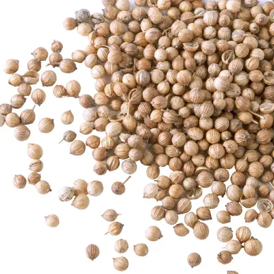 Семена кориандра (кинза), 10 кг купить в Симферополе | «Ингерман»