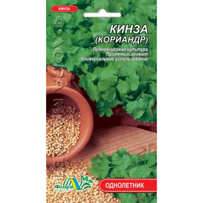 Семена пряных трав Кориандр (Кинза) Пикантный, 3 г | Семена пряных трав