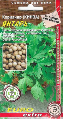 Семена кориандра (Кинза) Нектар, 10 г, Традиция ➤ купити в магазині Zelena  Ferma за 14.00 грн.
