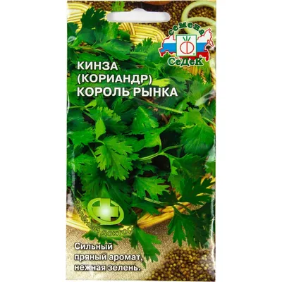 Марокканский семена кинзы (кориандр) - Hortus купить в Супермаркет Семян