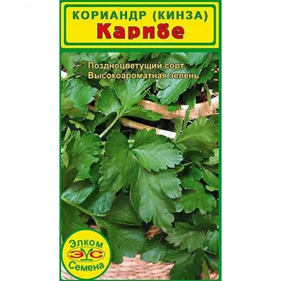 Семена «Кориандр Бородинский» 3 г с бесплатной доставкой на дом из  «ВкусВилл» | Тамбов