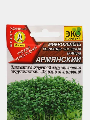 Кинза Лонг Стендинг (Semo) - купить семена в Украине: отзывы, цена,  описание ᐉ Agriks