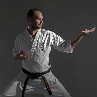 Мастер-класс по киокушинкай карате – Международный союз «Киокушин Профи»