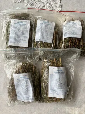 Продам кипрей мелкоцветковий, купити кипрей мелкоцветковий — Agro-Ukraine