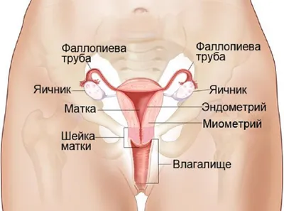 Как избежать тяжелых последствий после операции по удалению матки у женщин