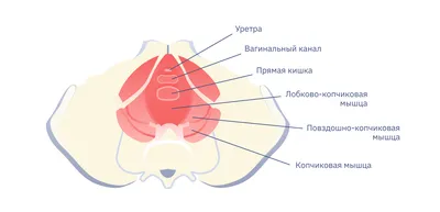 Удаление атеромы, жировика в Москве. Цена операции