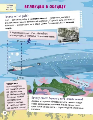 Иллюстрация Чудо-юдо рыба кит в стиле классика | Illustrators.ru