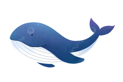 Рыба кит | Пикабу