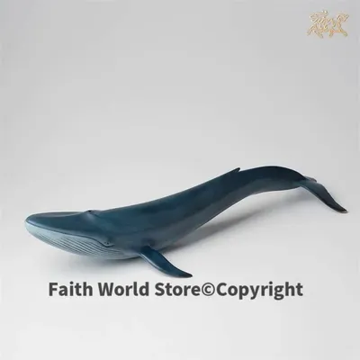 Whale Whale Синий кит рыбы PNG , под водой клипарт, стороны обращено кита,  Мультфильм иллюстрация PNG картинки и пнг рисунок для бесплатной загрузки