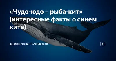 Пазл «Чудо-юдо Рыба-кит» из 221 элементов | Собрать онлайн пазл №23005
