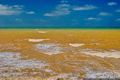 Желтое море китай (65 фото) - 65 фото