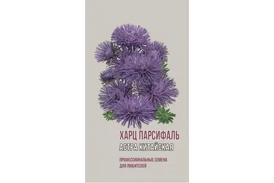 Астра китайская 'Миледи Микс' (смесь), купить рассаду оптом и в розницу, с  доставкой