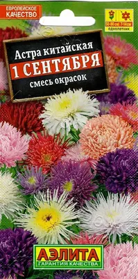 Семена Астра китайская Хризантелла Лунный камень (а/ф Биотехника) купить за  121 р. в садовом центре АСТ Медовое