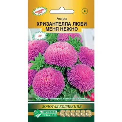 Семена цветов :: Однолетники :: Астра :: Астра китайская Бонита Пинк /  Callistephus chinensis Bonita (Pink) семена