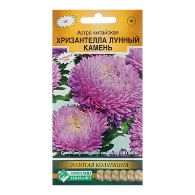 Купить Астра китайская Пропосал семена цветов и овощей в Минске. Каталог  семян 2024.