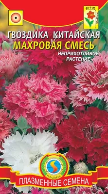 ✓ Семена Гвоздика китайская Махровая, смесь, 0,4г, Гавриш, серия Лидер 1+1  по цене 30 руб. ◈ Большой выбор ◈ Купить по всей России ✓ Интернет-магазин  Гавриш ☎ 8-495-902-77-18