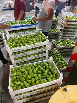 Доставка свежих фруктов и овощей из Китая