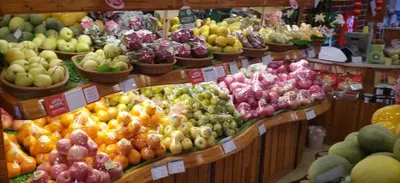 Китайские замороженные фрукты восковой ягоды поставщиков и производителей -  Лучшие китайские замороженные фрукты восковой ягоды оптом - Xiamen Sharp  Dragon