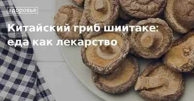 Салат из древесных грибов Муэр по-корейски - рецепт закуски - как  приготовить китайские древесные грибы | Пикабу