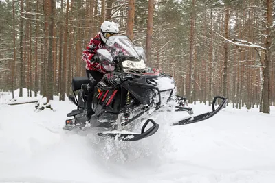 Права на снегоход и квадроцикл: нужны ли, какие, как получить :: Autonews