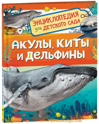 Вода России» поздравляет с Днем китов и дельфинов! - ВОДА РОССИИ