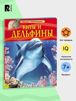 Книга Акулы киты и дельфины Энциклопедия для детского сада купить по цене  1090 ₸ в интернет-магазине Детский мир