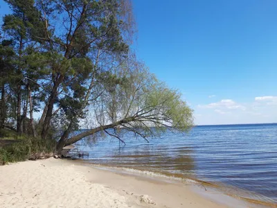 Сонце, крига та пісок: феєричні фото Київського моря взимку - Новини Києва  | Big Kyiv