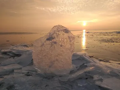 Київське море 💙 На фото Лютіж, а мали бути Ровжі. Через війну я так і не  здійснила свою мрію, тому продовжую подорожувати маршрутками 😬… | Instagram