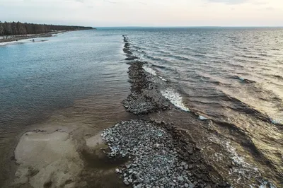 Киевское море позеленело