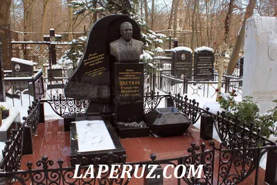 Новодевичье кладбище в Москве 2024: как добраться, история, кто из  знаменитых людей похоронен, график работы, что посмотреть
