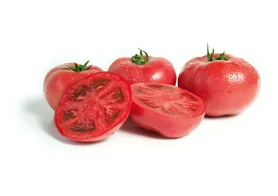 болезни растений : признаки кладоспориоза на листьях помидоров. Стоковое  Фото - изображение насчитывающей повреждение, повреждено: 226502352
