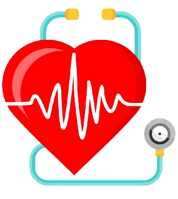 Механические клапаны сердца могут быть надежней биологических - Собеседник