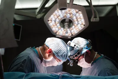 Замену аортального клапана можно провести без операции на открытом сердце –  Наука – Коммерсантъ