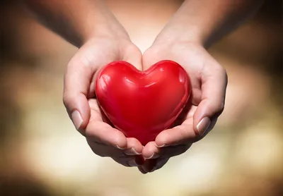 Замена клапана на сердце: протезирование сердечного клапана в Одессе |  Медицинский дом Odrex