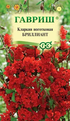 Кларкия махровая смесь 0,2 г (Плазменные семена): продажа, цена в Харькове.  Семена и клубни трав и цветов от \"Магазин \"РОЗМАРИН\"\" - 1042702419