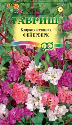 Семена ПОИСК Кларкия изящная Очарование – купить онлайн, каталог товаров с  ценами интернет-магазина Лента | Москва, Санкт-Петербург, Россия