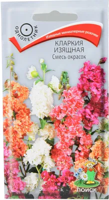 Купить Кларкия изящная Смесь окрасок Поиск по цене 23 руб. в Иркутске в  интернет-магазине | РОЩА