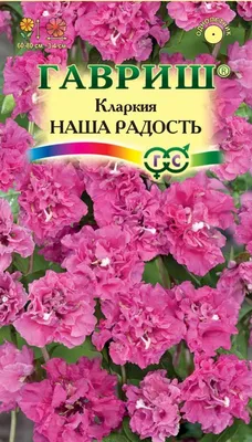 Кларкия Изящная Фейерверк, Смесь 0,1 Г Гавриш цветы однолетние Наш сад,  пакеты цветные Семена Продукция