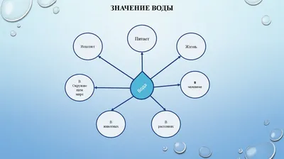 Кластеры в Узбекистане: болезни роста, пережитки прошлого или позор? |  Центр-1 / Centre1.com - Новости из Узбекистана