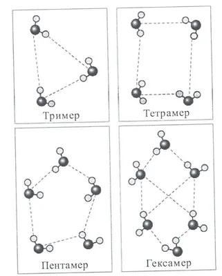 Б. Структура воды и льда / Биохимия