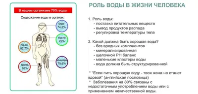 Вода - основа жизни на Земле - online presentation