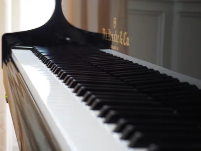 Клавишные | Музыкальные классические инструменты